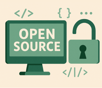 Why Open-Source VPNs Deserve Your Attention