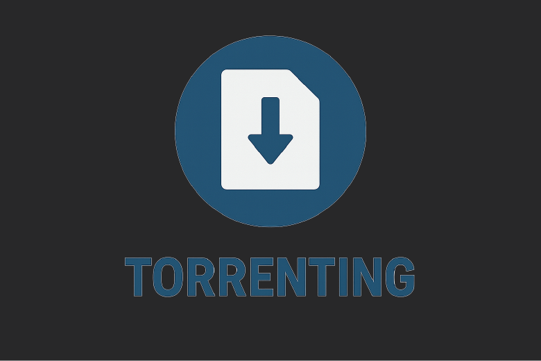 Best VPN for Torrenting: Stay Safe and Private while you download