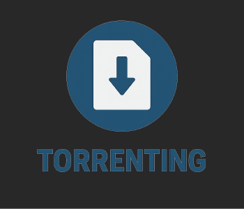 Best VPN for Torrenting: Stay Safe and Private while you download
